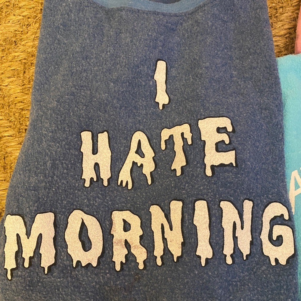 Wildfox Sweatshirts - Picture 2 of 9